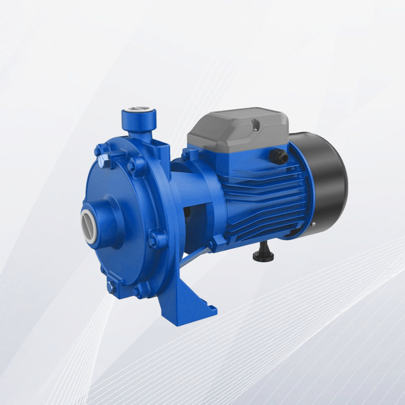 2AGP(m) Double Impeller Centrifugal Pump| China Water Pump Manufacturer& Supplier | Gavotte Pump