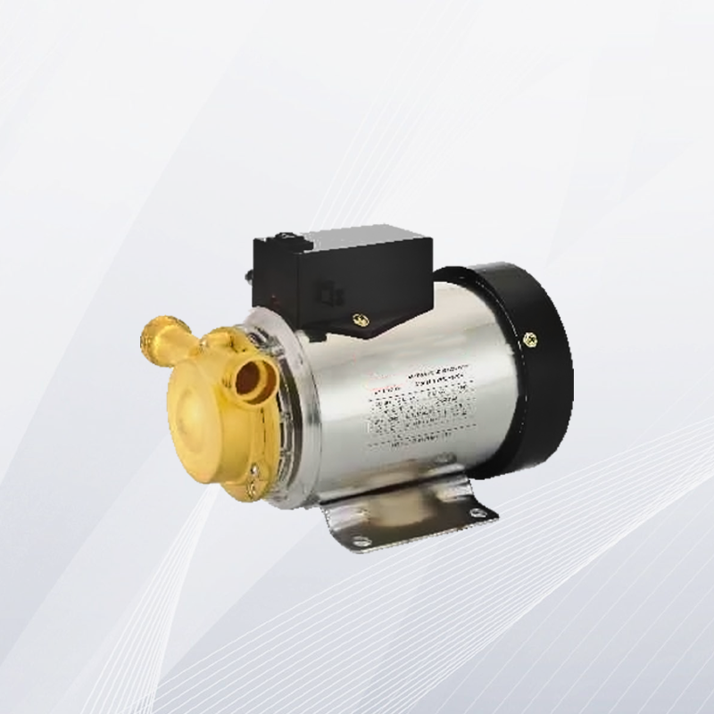 WG Automatic Boosting Pump| China Water Pump Manufacturer& Supplier | Gavotte Pump