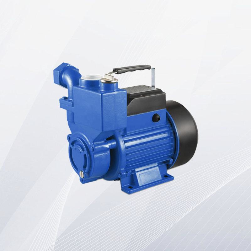 WZB Self-Priming Peripheral Pump| China Water Pump Manufacturer& Supplier | Gavotte Pump
