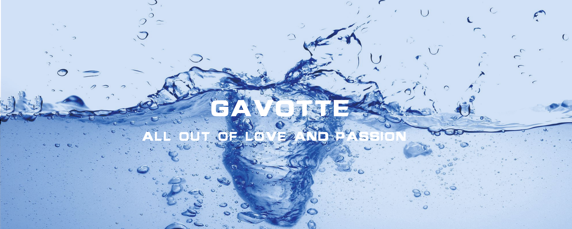 Gavotte Pump | China professional water pump manufacturer&supplier